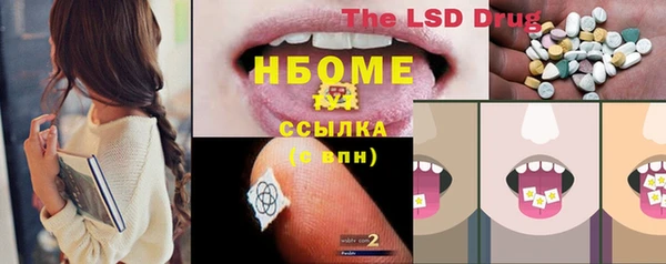 хмурый Алексин