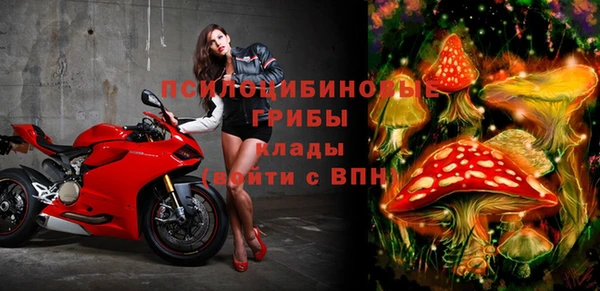 хмурый Алексин