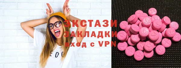 хмурый Алексин