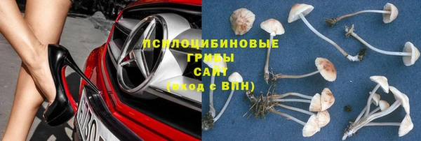 гидропоника Алексеевка