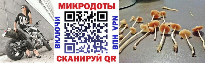 Псилоцибиновые грибы GOLDEN TEACHER  где купить наркотик  Салехард 